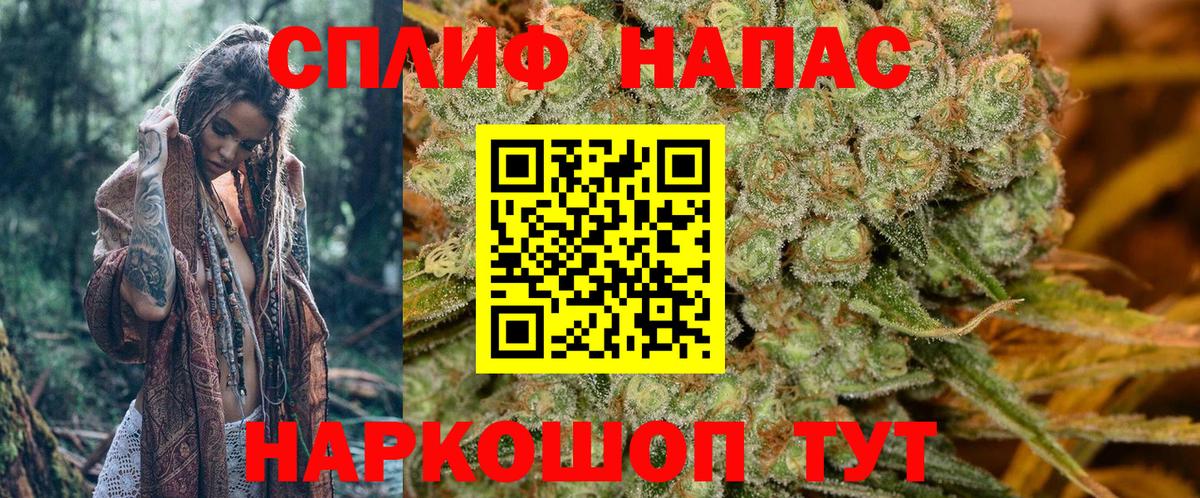 Канабис гибрид Новодвинск